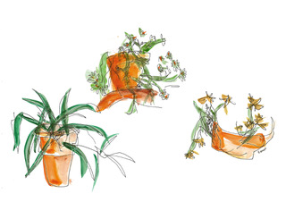 3 oranje potten, inkt en aquarel, serie Nature