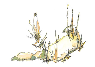 Steen en gras, inkt en aquarel, serie Silence